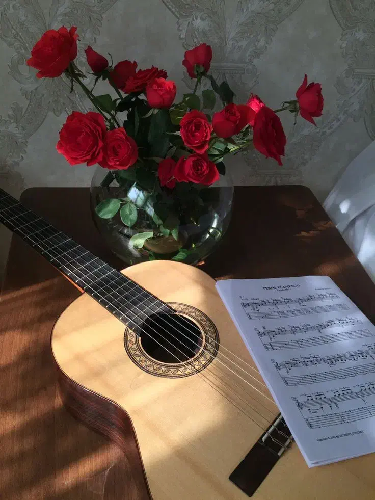 سورپرایز تلفنی|گیتار، بیس، امپلیفایر|خمین, |دیوار