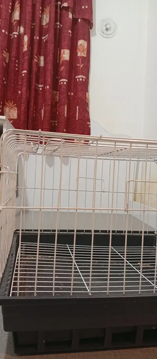 قفس بزرگ|لوازم جانبی حیوانات|رشت, استادسرا|دیوار