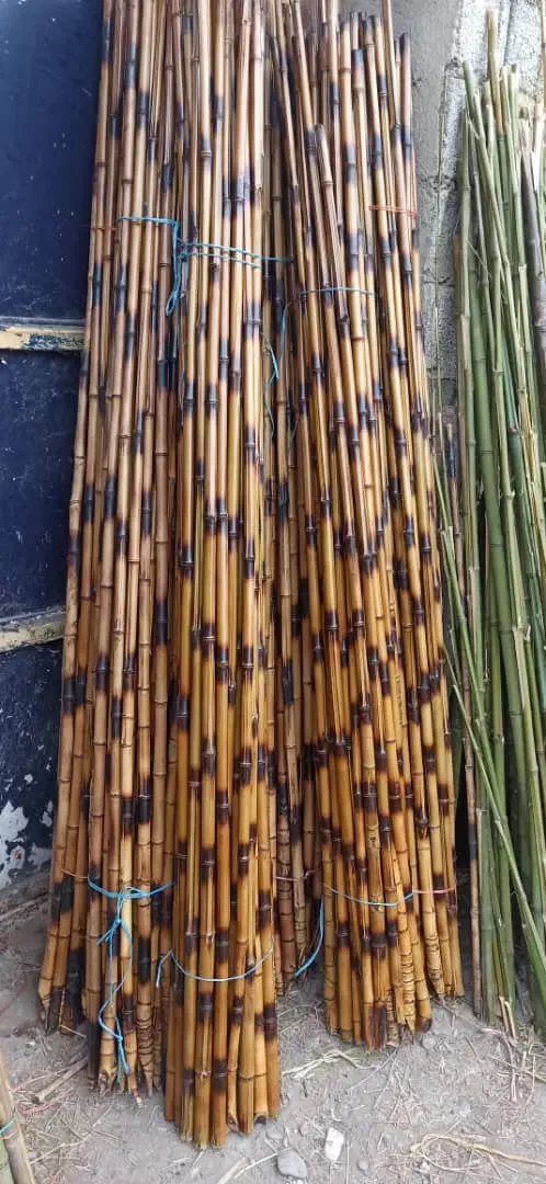 چوب بامبو....|مصالح و تجهیزات ساختمان|تهران, پیکان شهر|دیوار