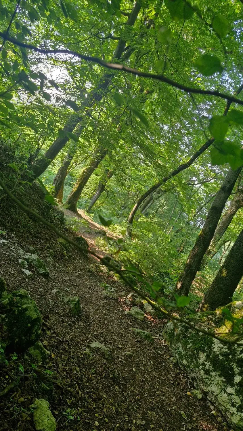 دوقطعه زمین تجاری شهیدیه|فروش زمین و ملک کلنگی|میبد, |دیوار