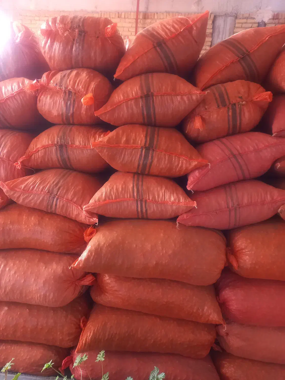 ۲ تن بادام زمینی آفتاب خشک غلافدار گلی|عمده‌فروشی|پارس‌آباد, |دیوار