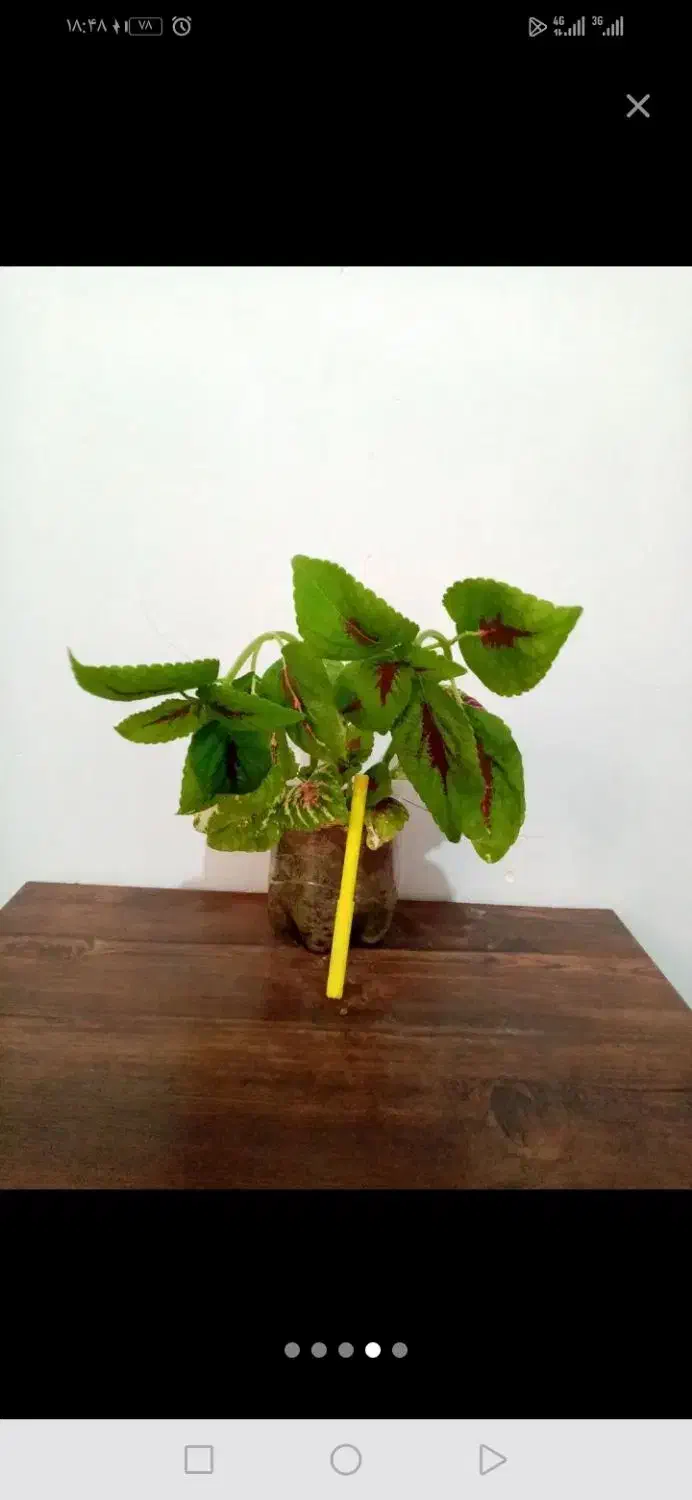 حراج|حراج|یاسوج, |دیوار