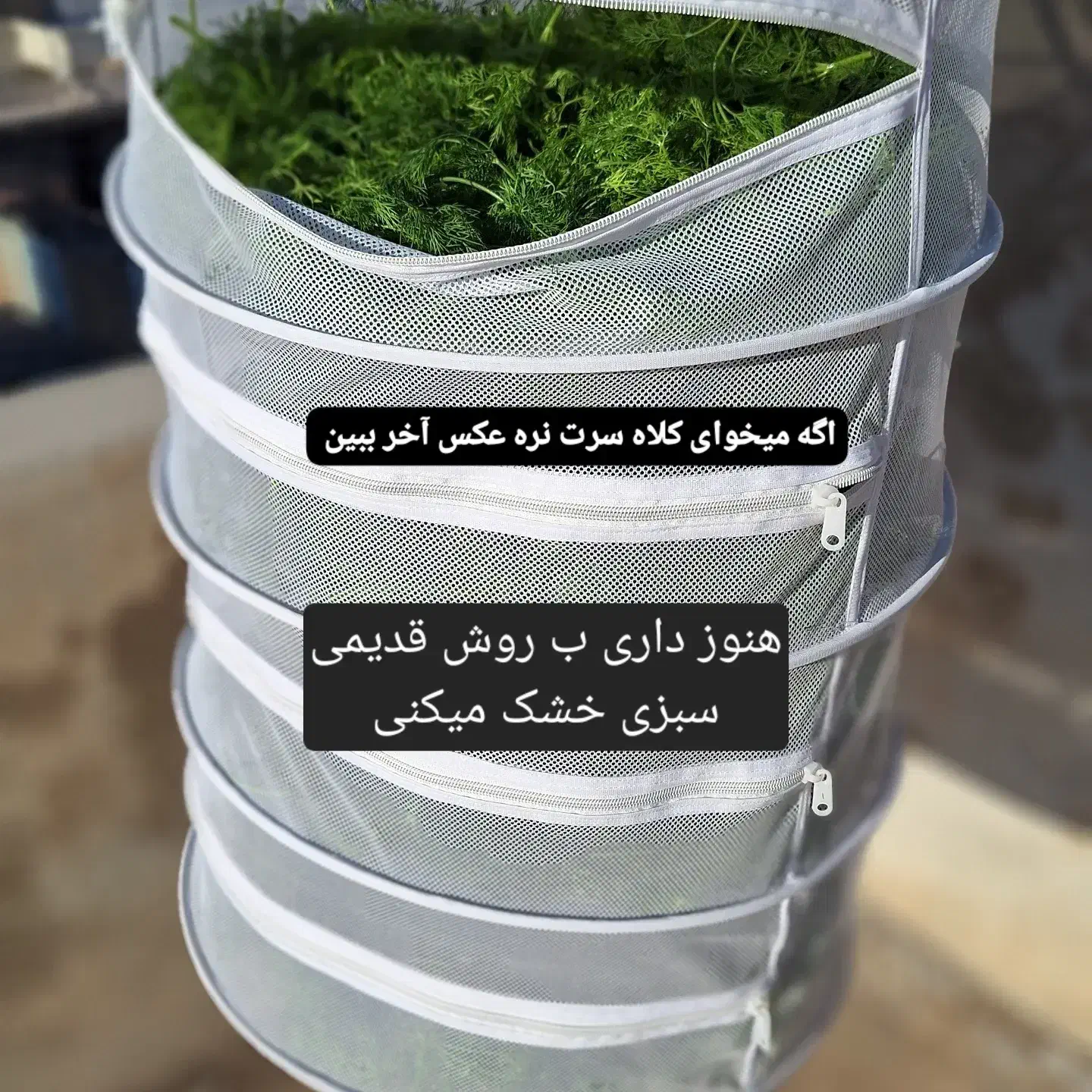 توری سبزی ومیوه خشک کن|ظروف نگهدارنده، پلاستیکی، یکبارمصرف|فولادشهر, مسکن مهر فولادشهر|دیوار