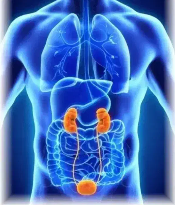 اهدا|فعالیت داوطلبانه|تهران, شهرک ولیعصر شمالی|دیوار