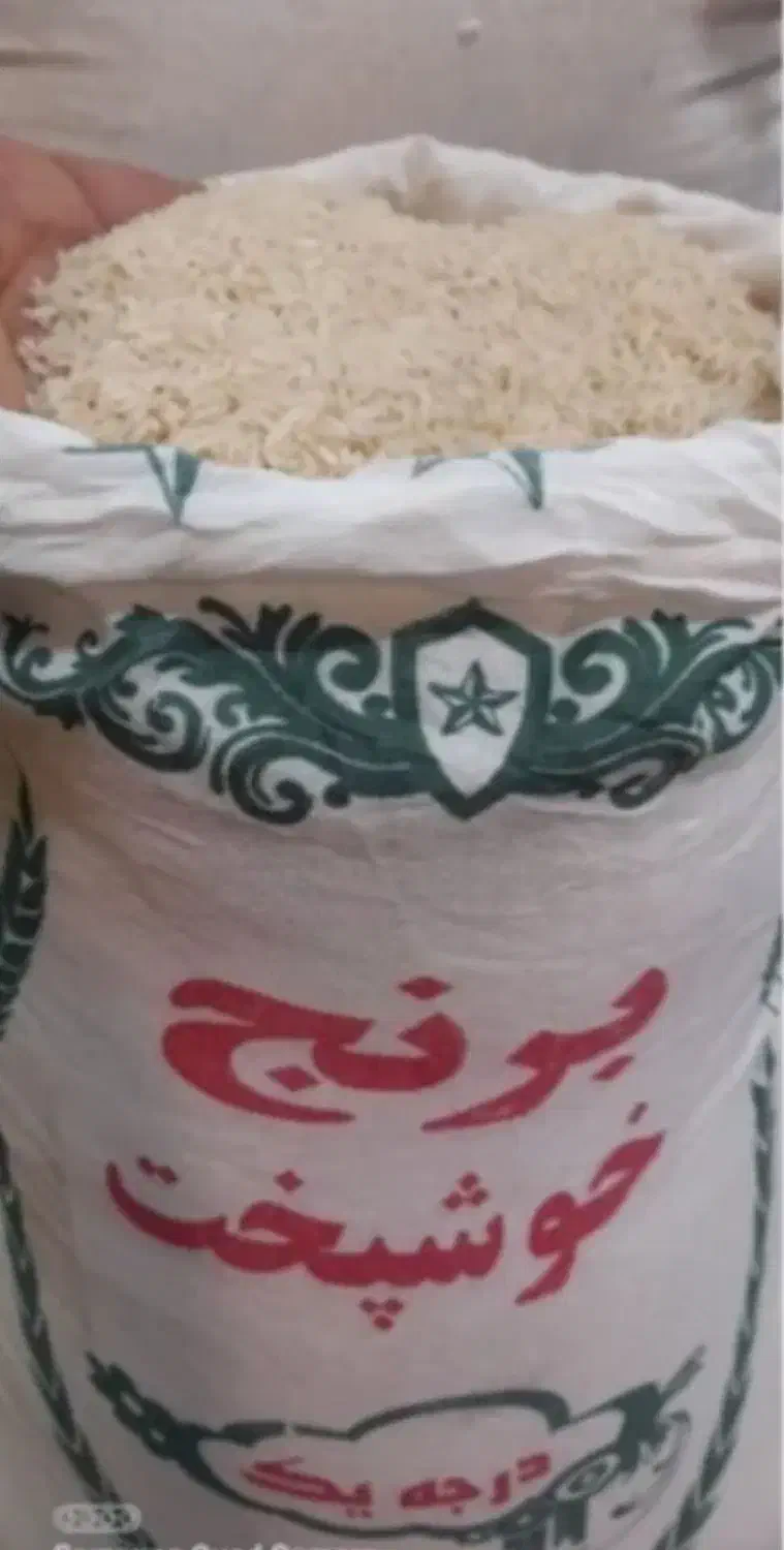 برنج عمده خوشپخت (۱۲۰ کیلو معادل ۱۲کیسه )|خوردنی و آشامیدنی|شاهین دژ, |دیوار