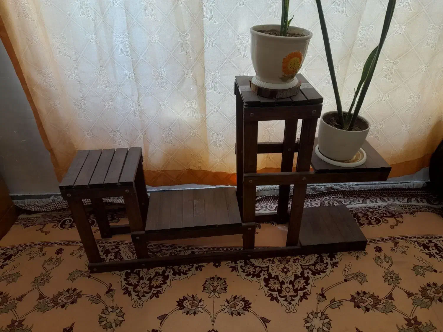 لوازم گلخانه|گل و گیاه طبیعی|شیراز, ریاستی|دیوار