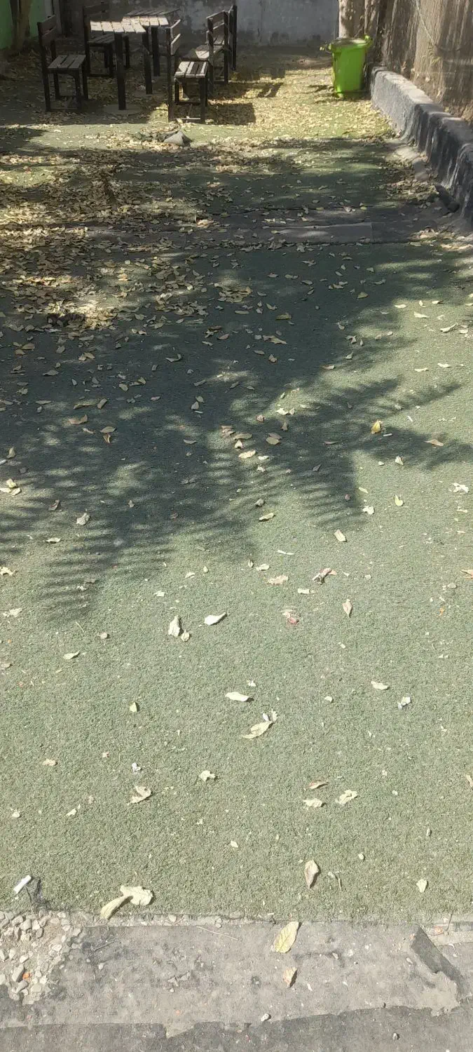 چمن مصنوعی ۲۰۰۰ متر|مصالح و تجهیزات ساختمان|کرج, چمران|دیوار