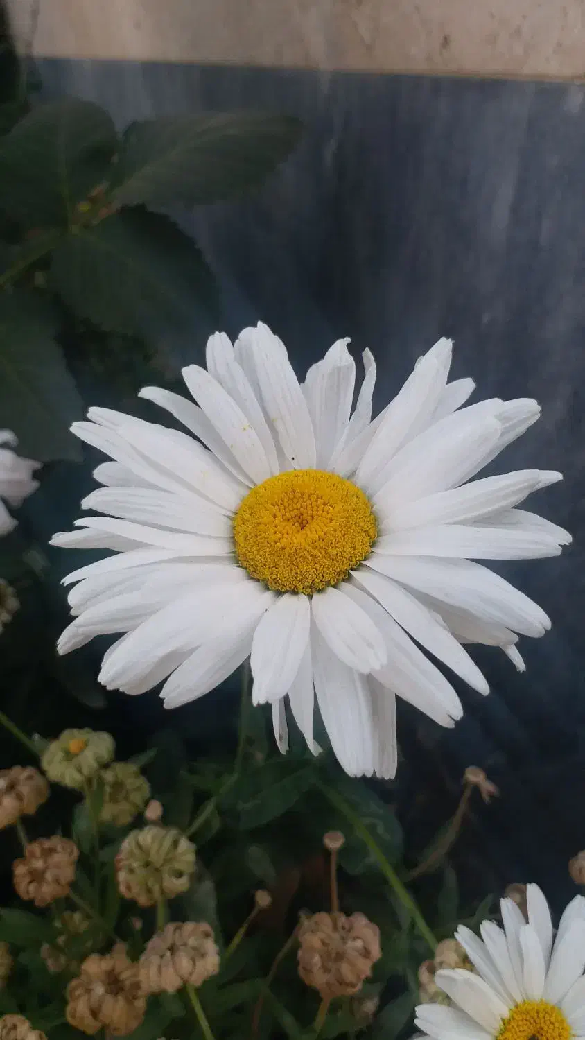 کارت بانکی پیدا شده|اشیا|ثمرین, |دیوار