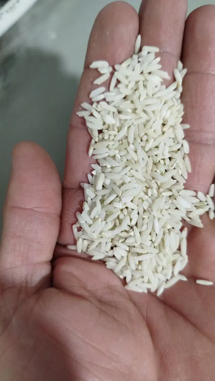 برنج محلی|خوردنی و آشامیدنی|بیرانوند, |دیوار