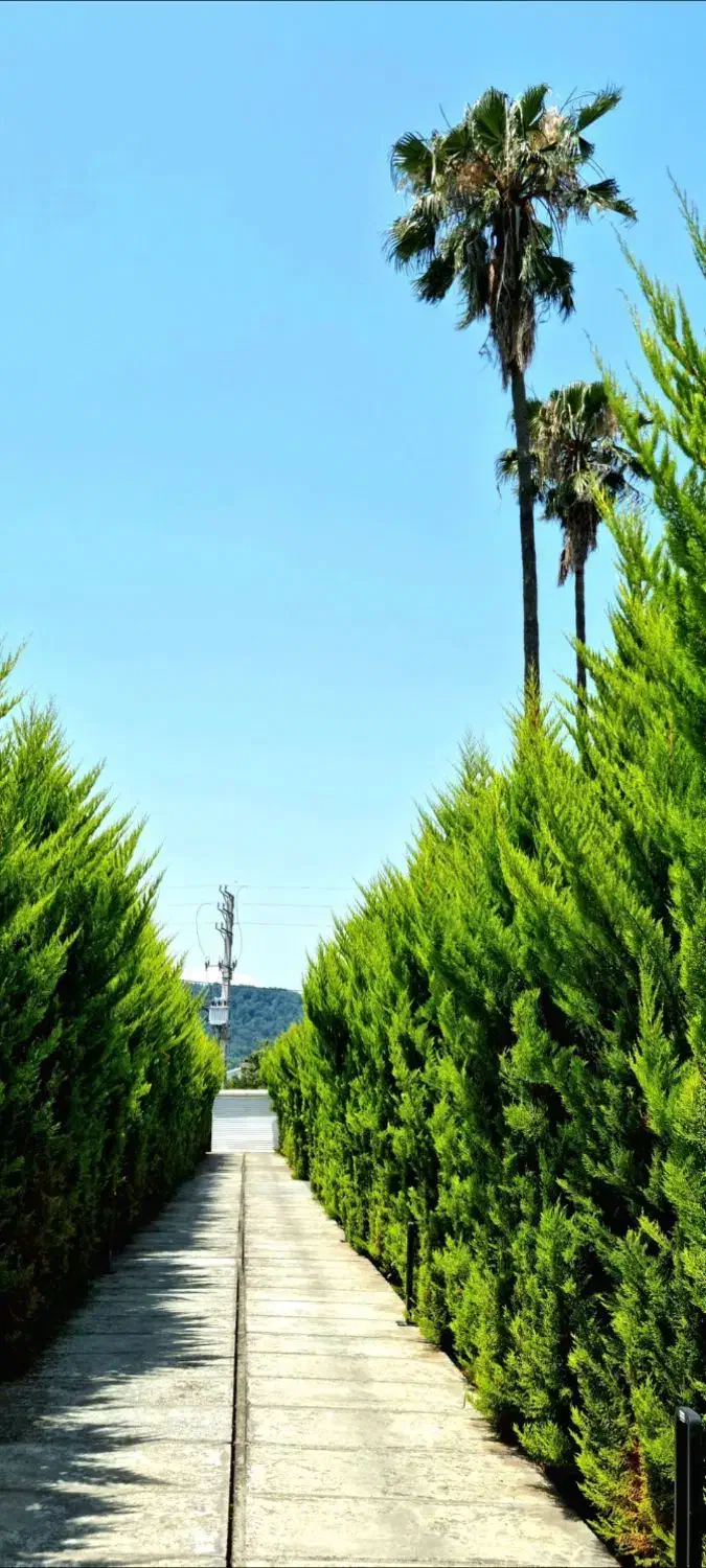 اجاره شبانه ویلای لوکس مبله در نشتارود|اجارهٔ کوتاه‌مدت ویلا و باغ|نشتارود, |دیوار