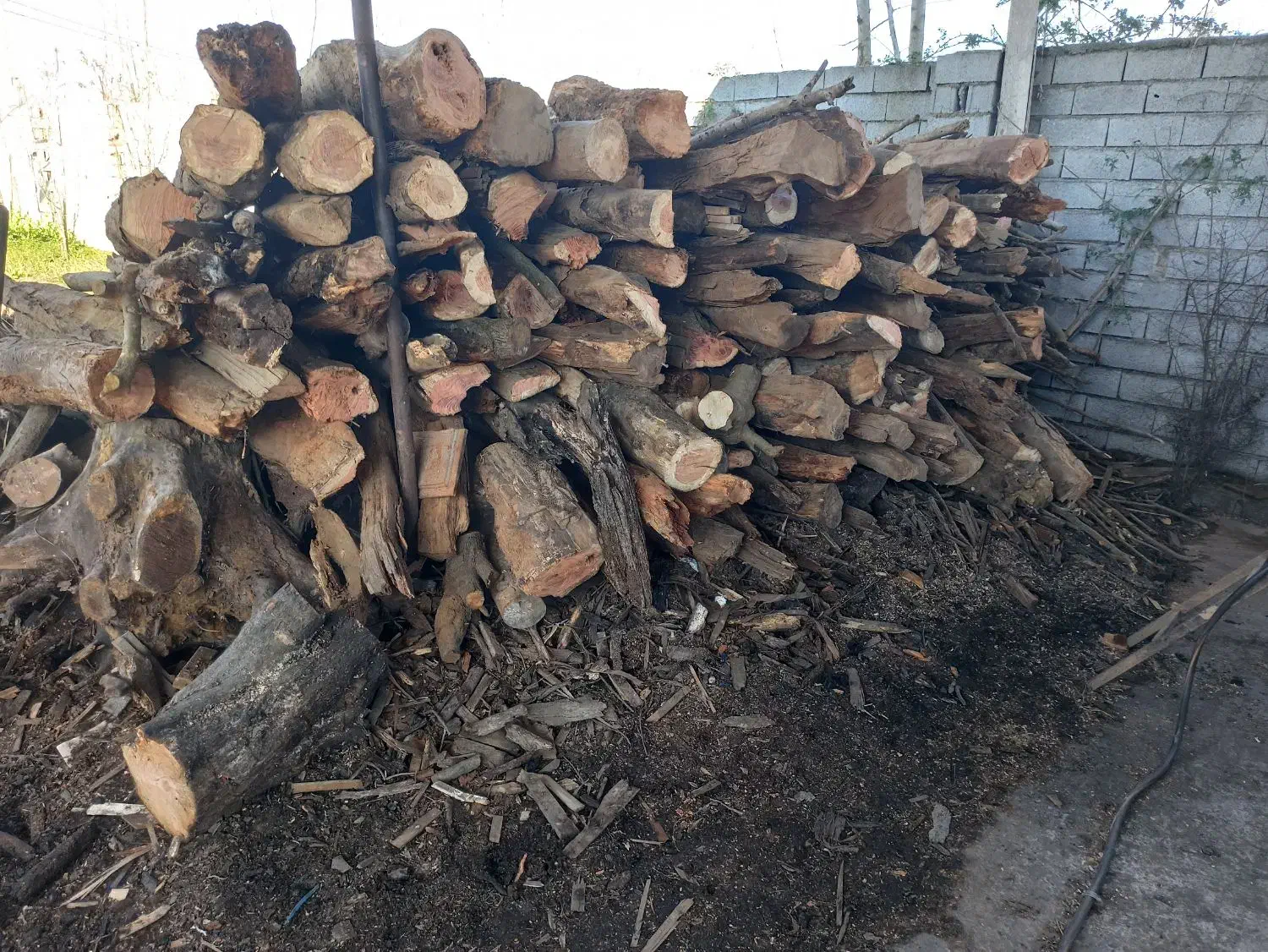 چوب وهیزم ساختمانی زغالی|خدمات باغبانی و درختکاری|لنگرود, |دیوار