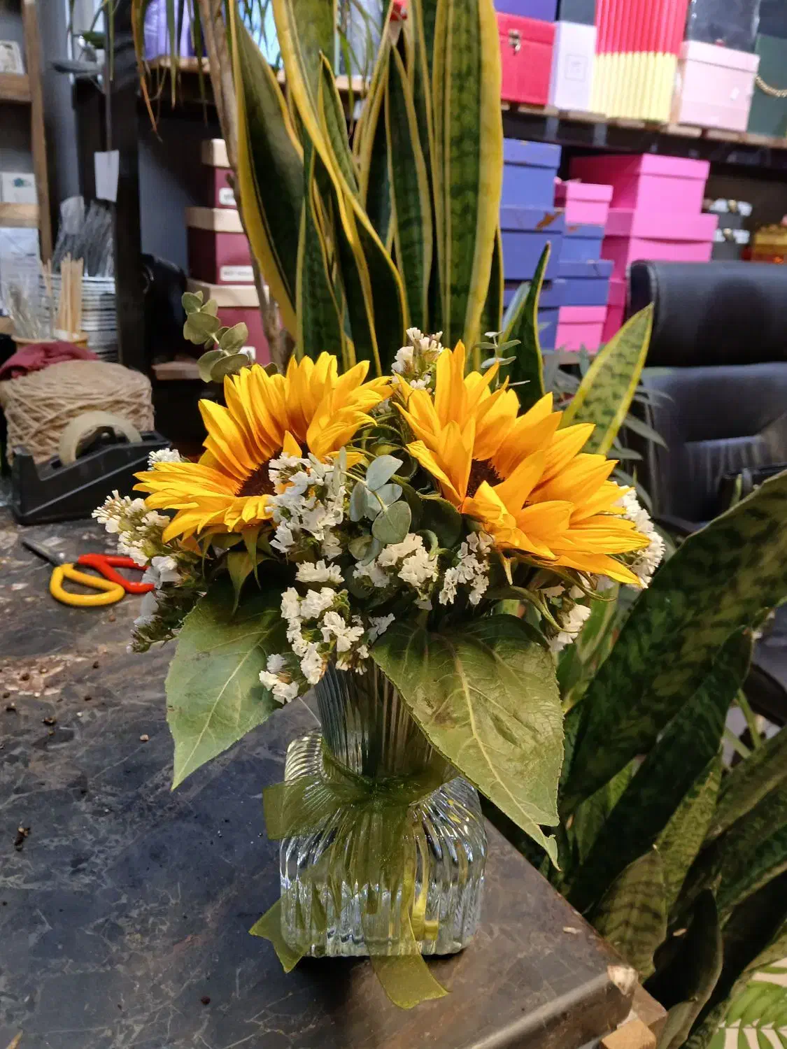 جار گل|گل و گیاه طبیعی|تهران, یاخجی آباد|دیوار