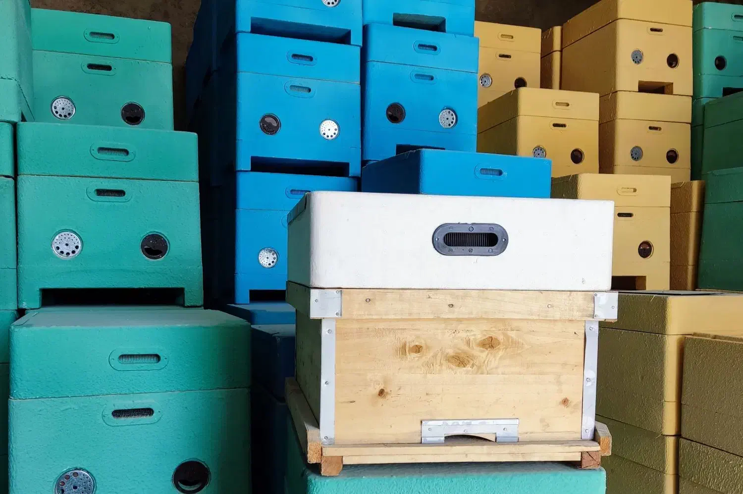 کندو زنبور عسل|حیوانات مزرعه|شیراز, علی آباد|دیوار