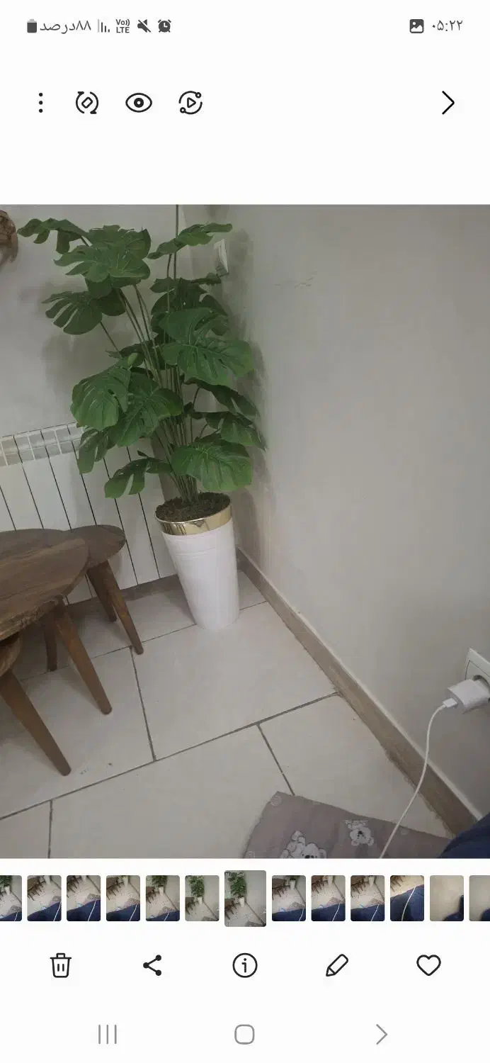 گل و گلدان نونو|گل و گیاه طبیعی|رباط‌کریم, نوده|دیوار