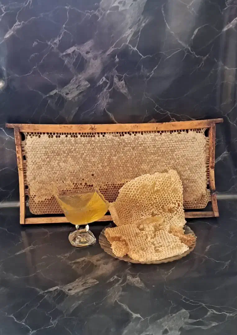 عسل گون درجه یک بابرگه آزمایش ساکاروز وپرولین|خوردنی و آشامیدنی|فارسان, |دیوار