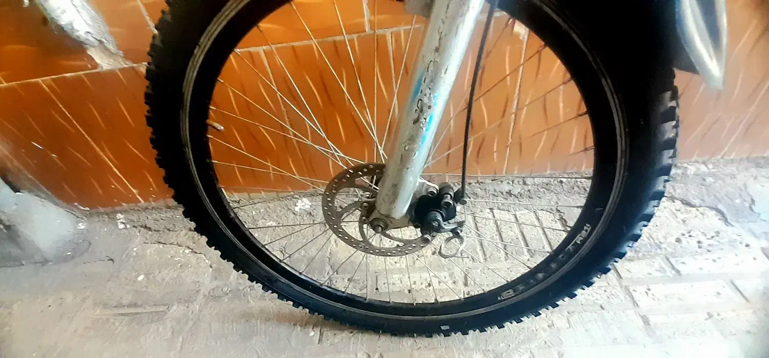 دوچرخه 26 دنده ای|دوچرخه، اسکیت، اسکوتر|تربت جام, جامی|دیوار