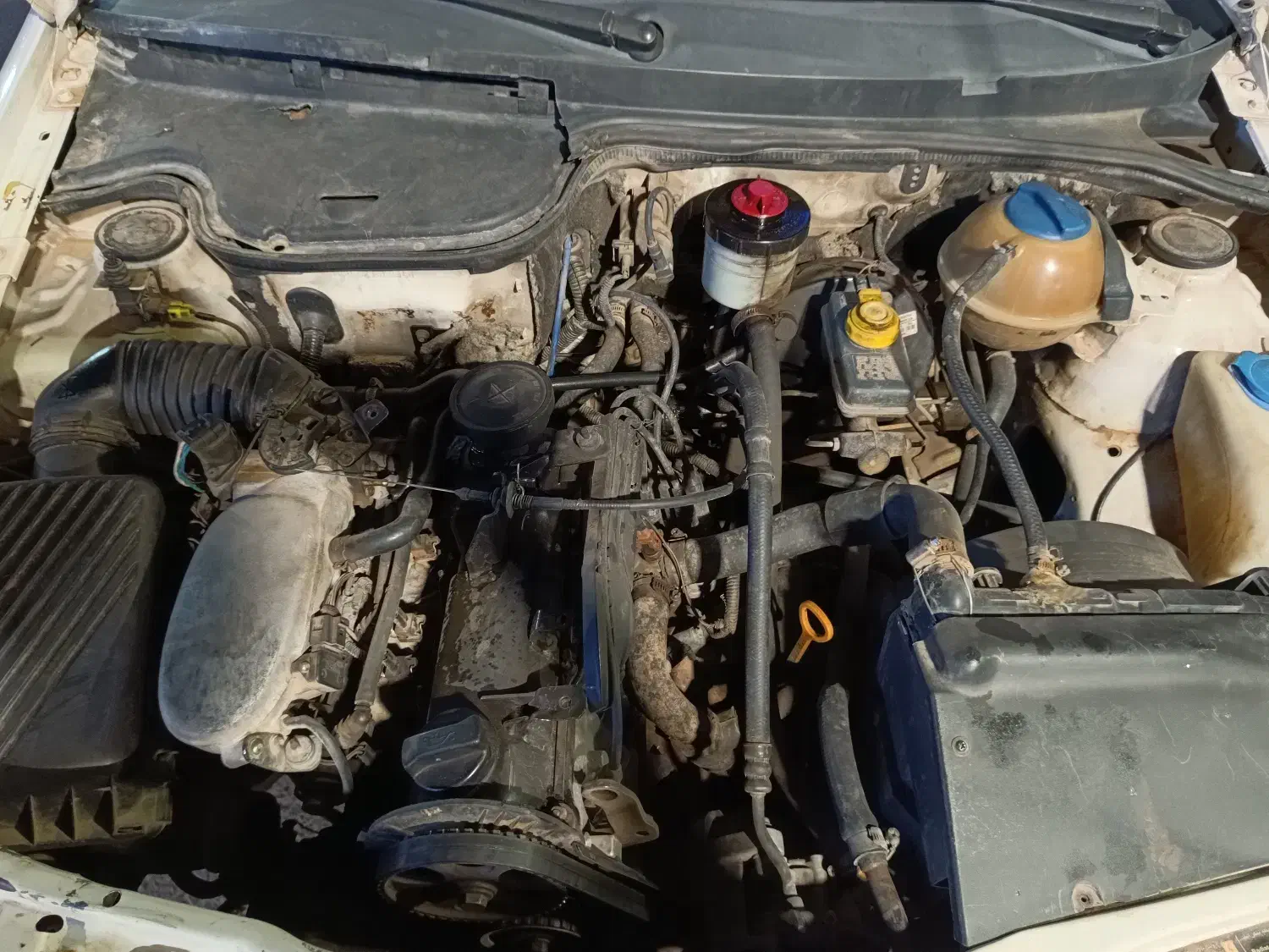 فولیکس واگن گل|خودرو سواری و وانت|شیراز, شهرک عرفان|دیوار