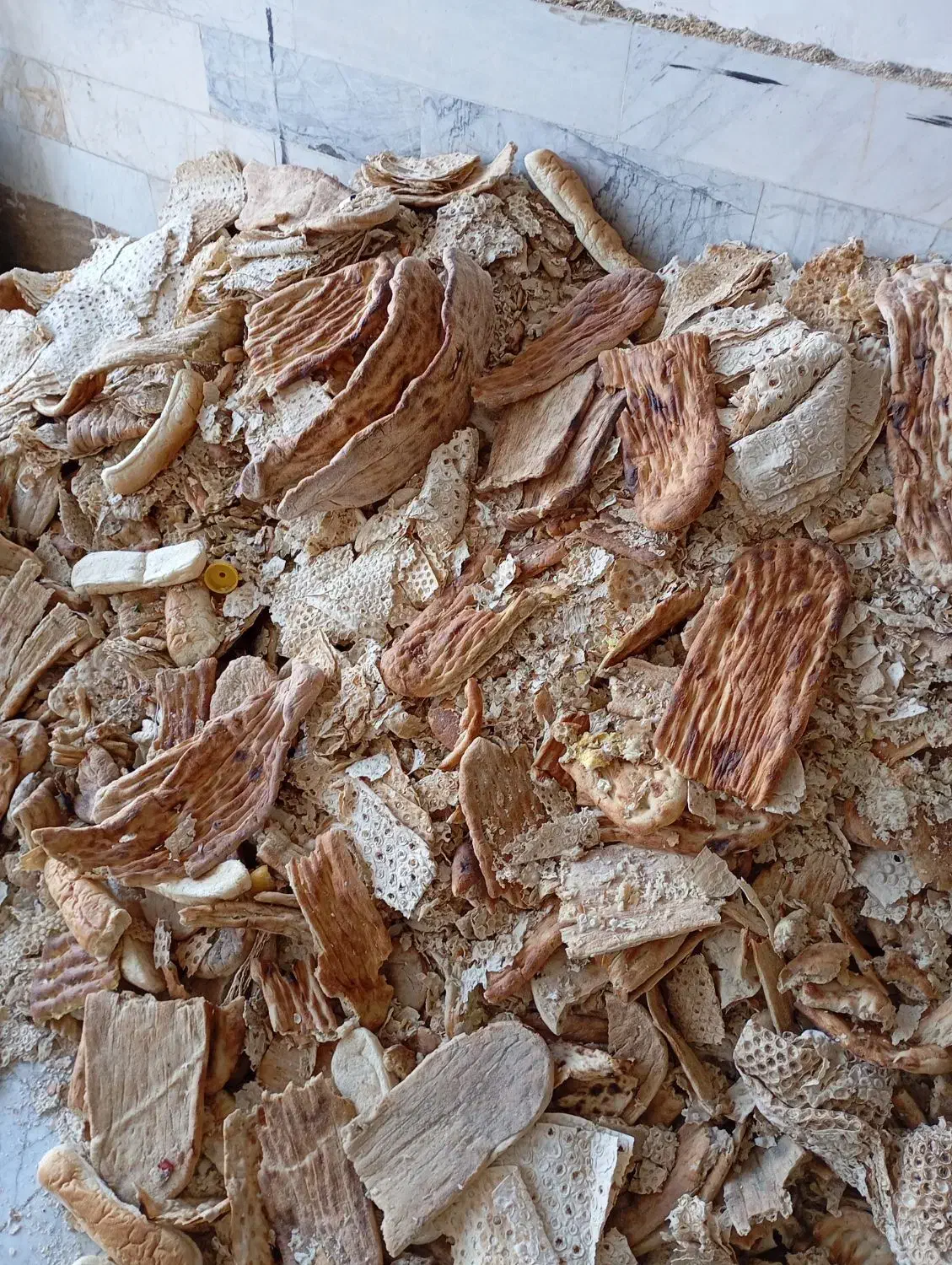 نان خشک|لوازم جانبی حیوانات|اردبیل, |دیوار