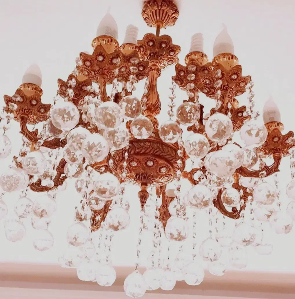 یک عدد لوستر ۱۶ شاخه|لوستر و چراغ آویز|میانه, |دیوار