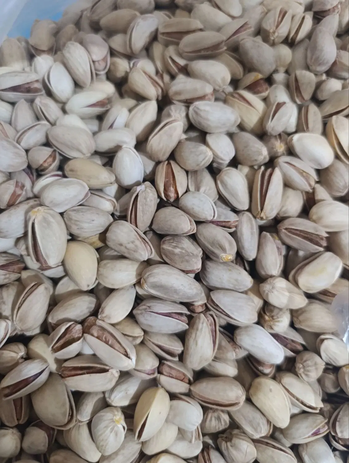 پسته|خوردنی و آشامیدنی|تهران, وردآورد|دیوار