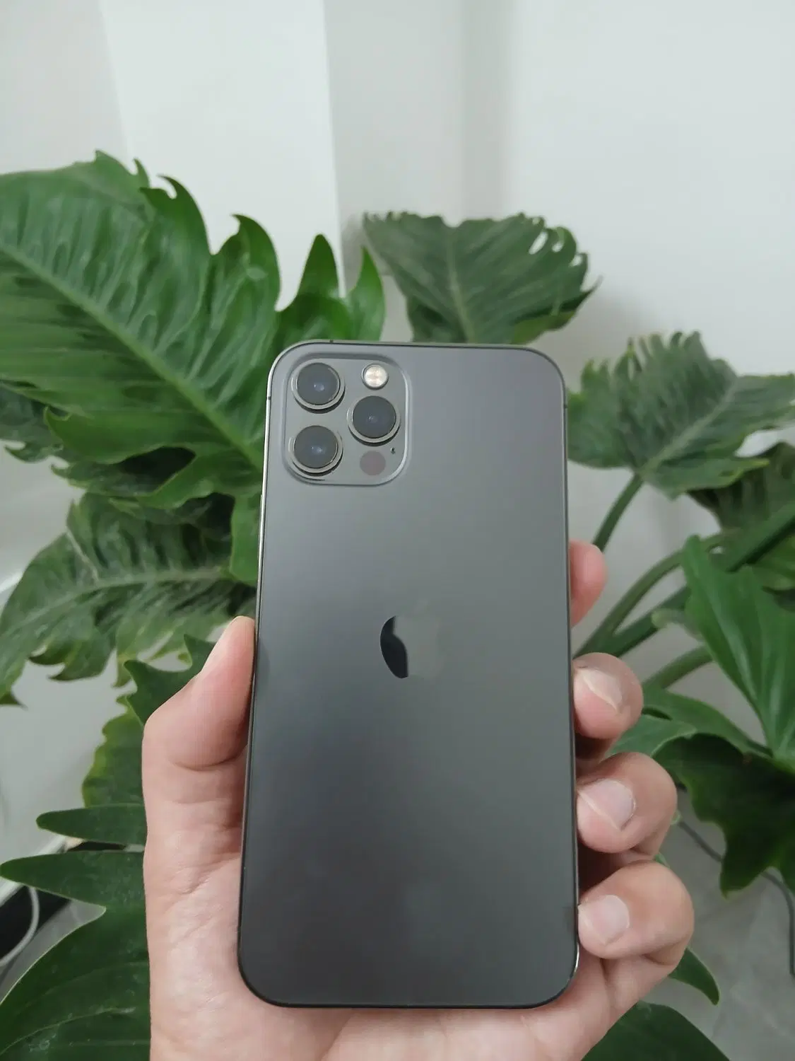 iphone 12 pro|موبایل|بجنورد, |دیوار