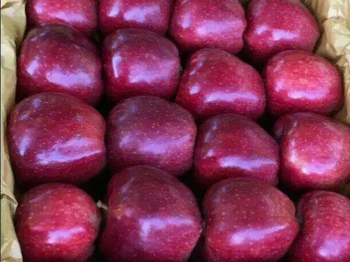 سیب قرمز درجه یک|عمده‌فروشی|بستان آباد, |دیوار