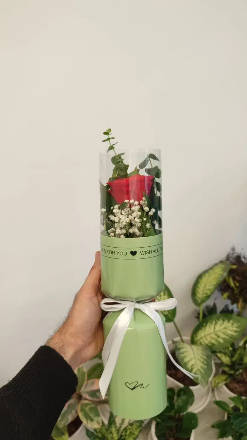 گل رز/تک شاخه/بوکت|گل و گیاه طبیعی|قم, میرزائیه|دیوار