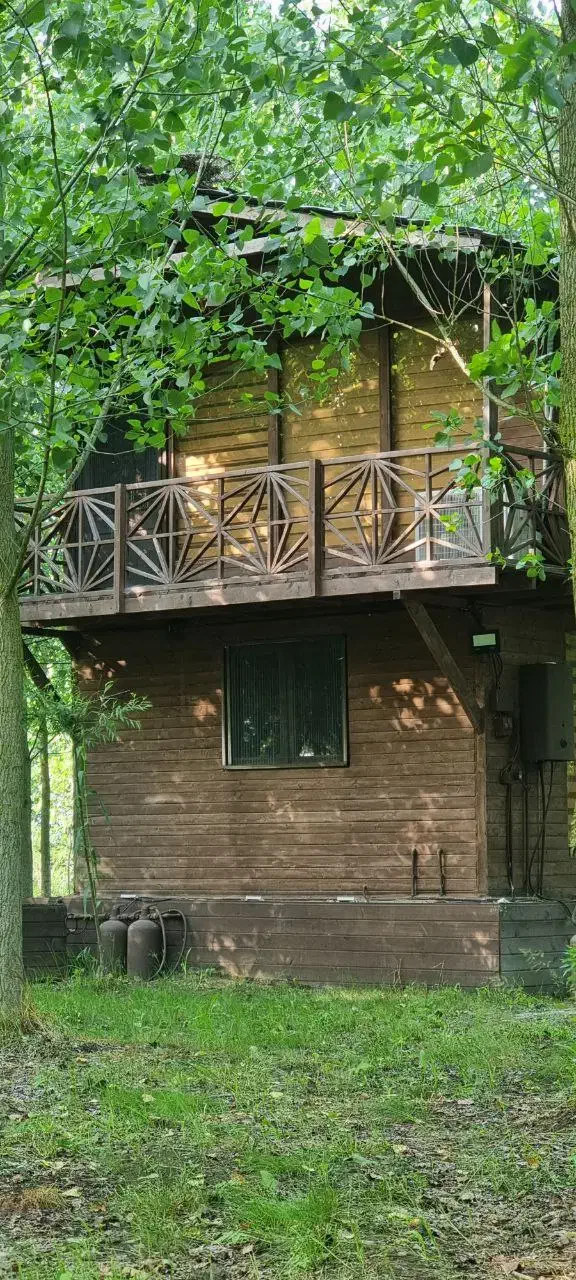 شفاف تر از خیال ، روی پل شیشه ای|فروش خانه و ویلا|مبارکه, |دیوار