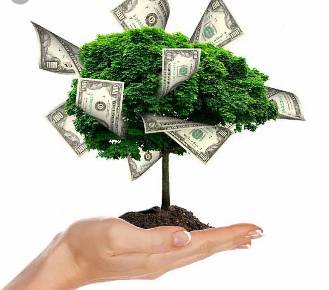 وام ۱۰۰ و ۲۰۰ میلیونی انصرافی نیازمند جایگزین|خدمات مالی، حسابداری، بیمه|خمینیشهر, |دیوار