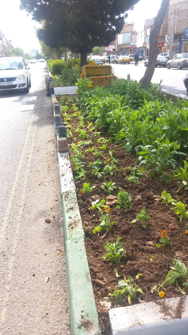 انجام خدمات باغبانی باغچه، هرس، کاشت|خدمات باغبانی و درختکاری|قم, وادی السلام|دیوار