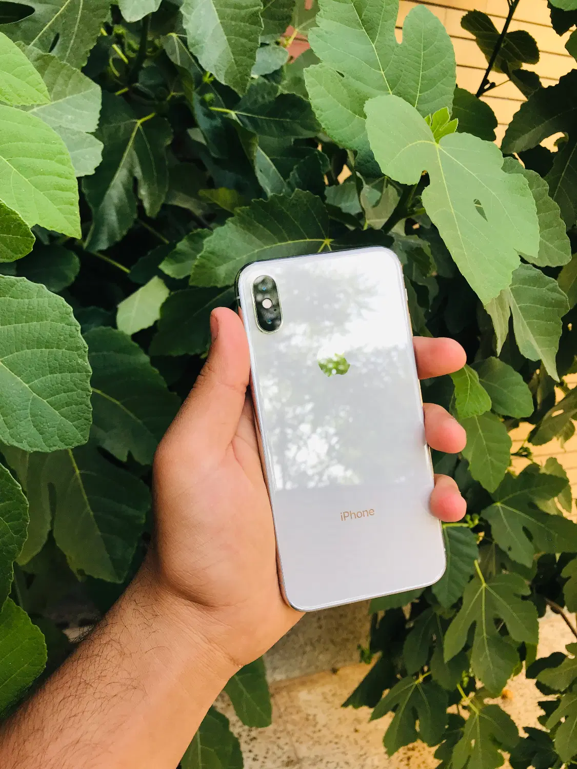 Iphone x 256|موبایل|کرمان, |دیوار