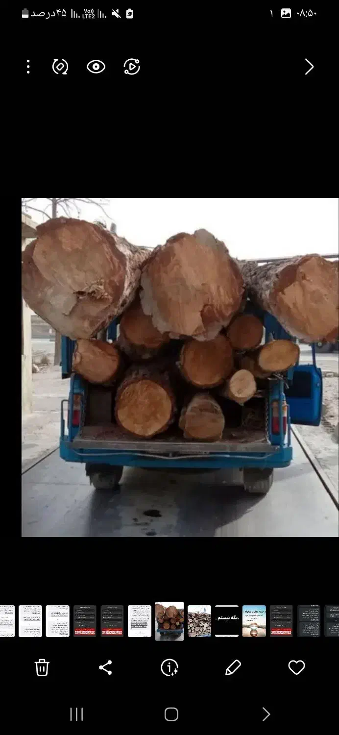 خرید چوب و پالت درخت|خدمات باغبانی و درختکاری|فولادشهر, زاینده رود|دیوار