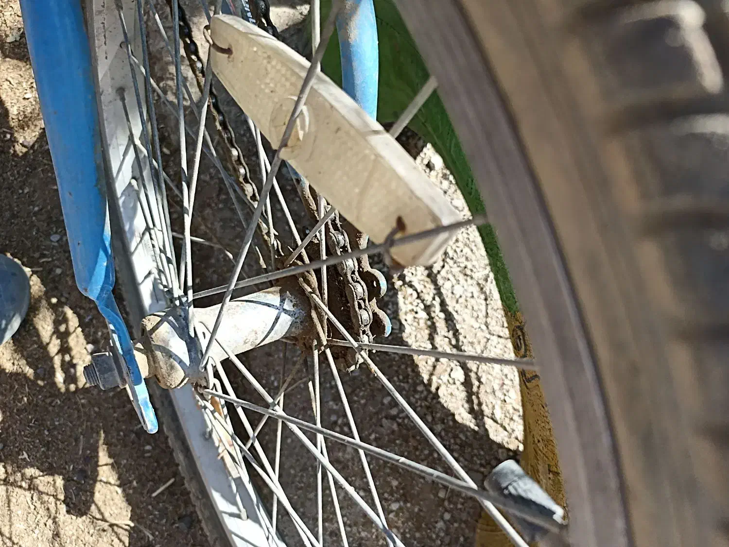 دوچرخه 20|دوچرخه، اسکیت، اسکوتر|گل تپه, |دیوار