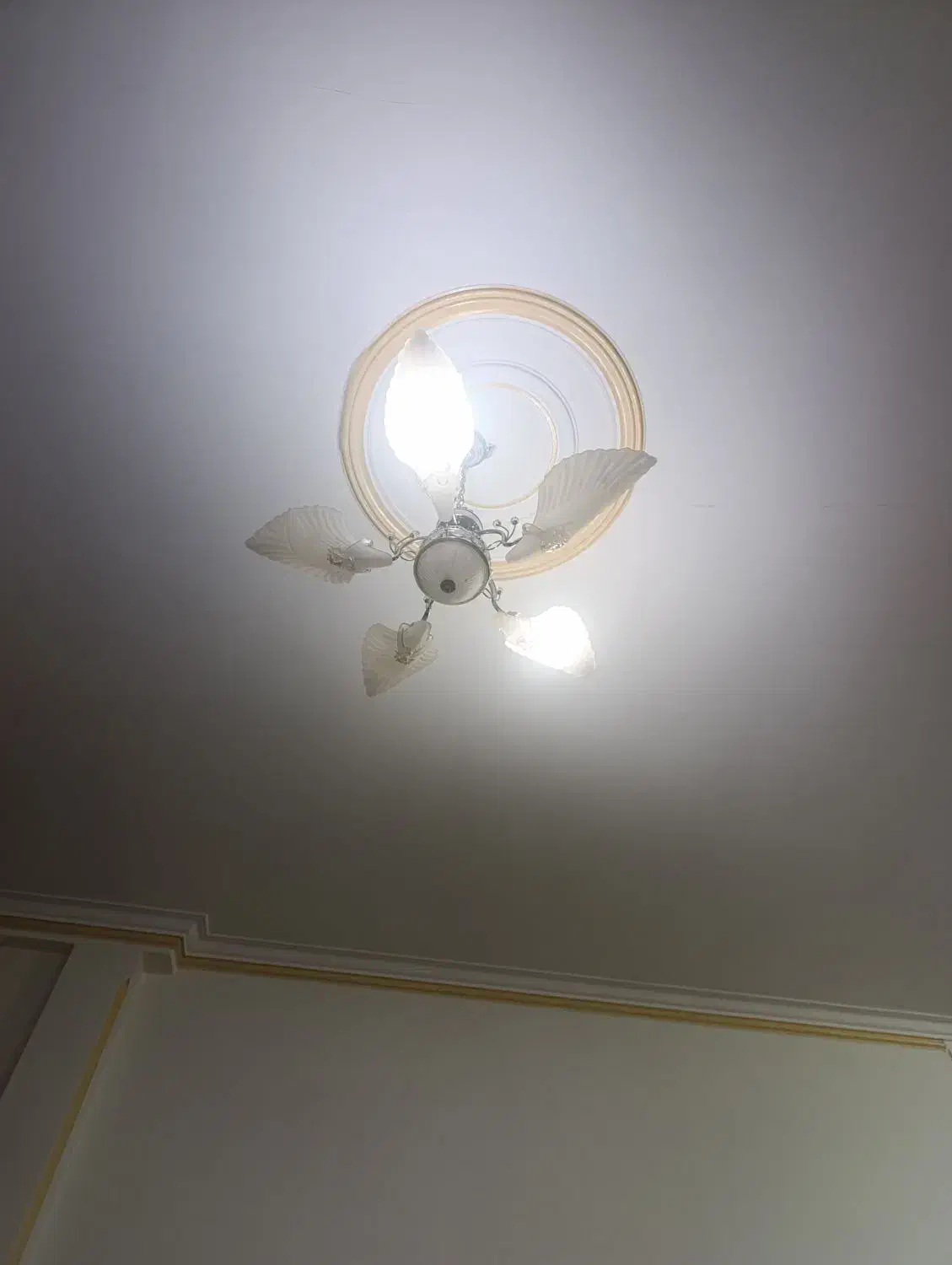 لوستر|لوستر و چراغ آویز|ورامین, ورامین|دیوار