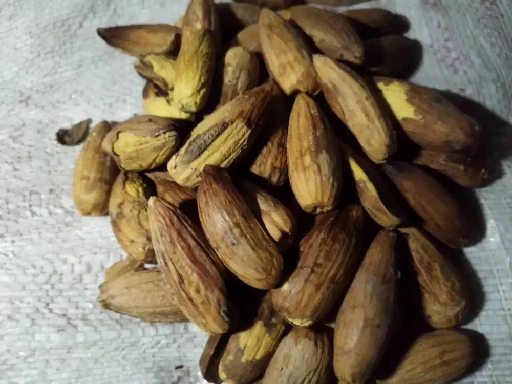 بلوط|خوردنی و آشامیدنی|صدرا-فارس, فاز ۲|دیوار