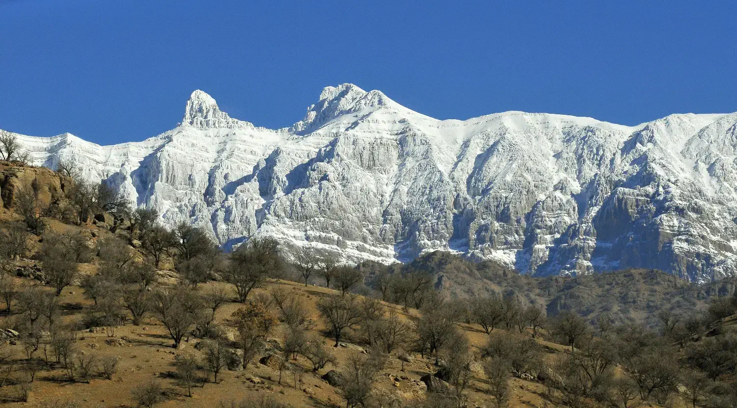 زمین در وجه ساخت یک باب ساختمان|مشارکت در ساخت املاک|یاسوج, |دیوار