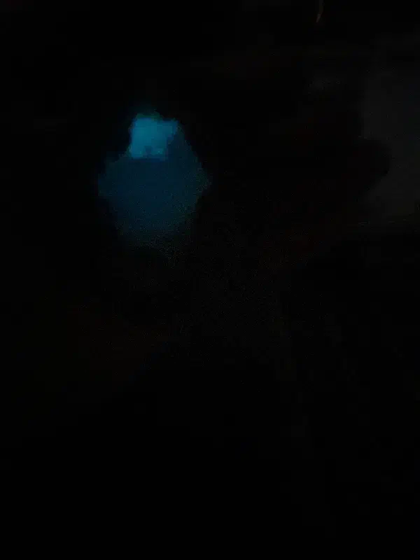 سنگ گوهر شبچراغ واقعی|کلکسیون اشیاء عتیقه|ملارد, |دیوار