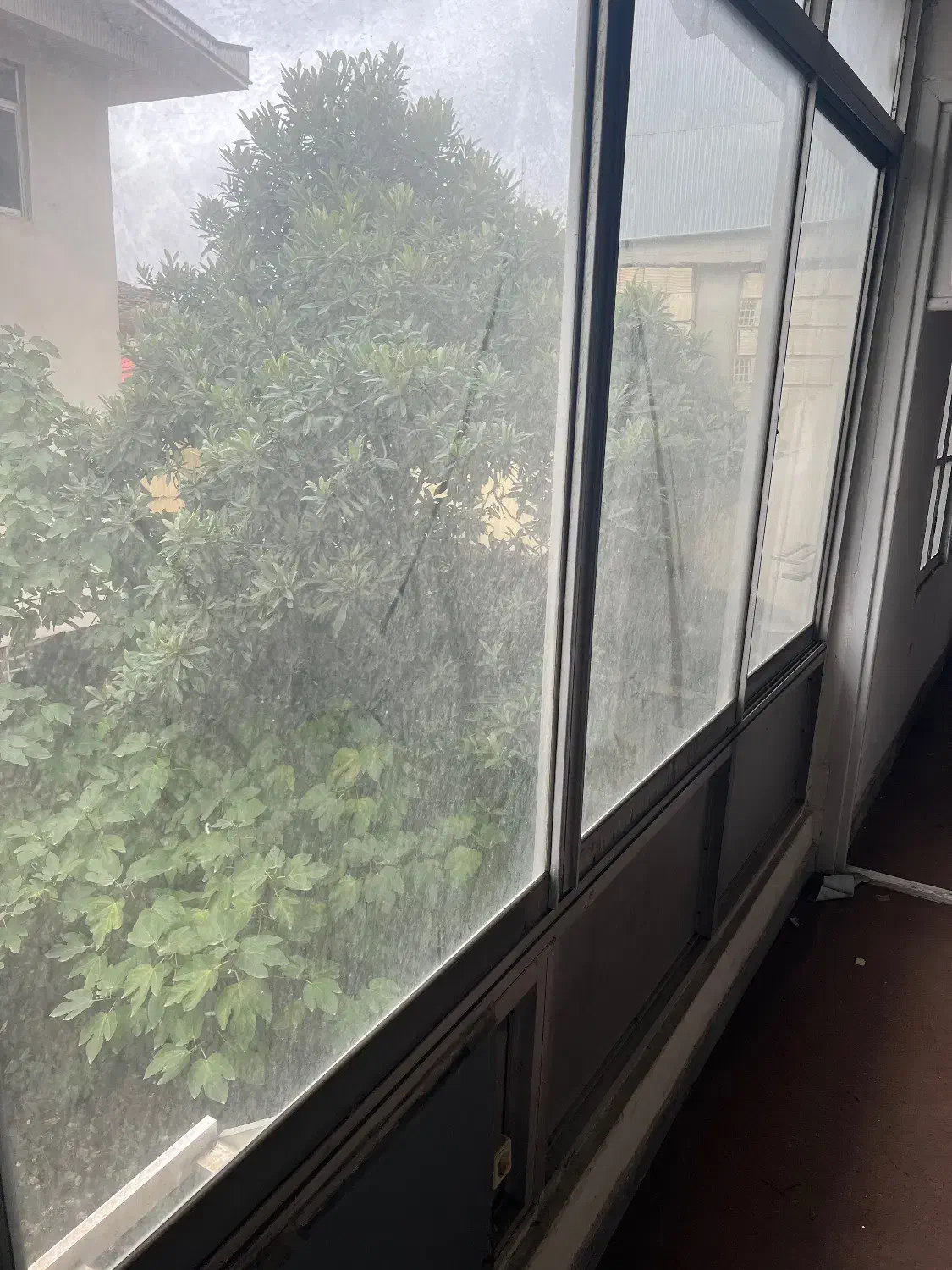 سوله انبار جاده انزلی رشت بعد پوشش۵۶۰متری|فروش دفتر صنعتی، کشاورزی، تجاری|رشت, حومه رشت|دیوار