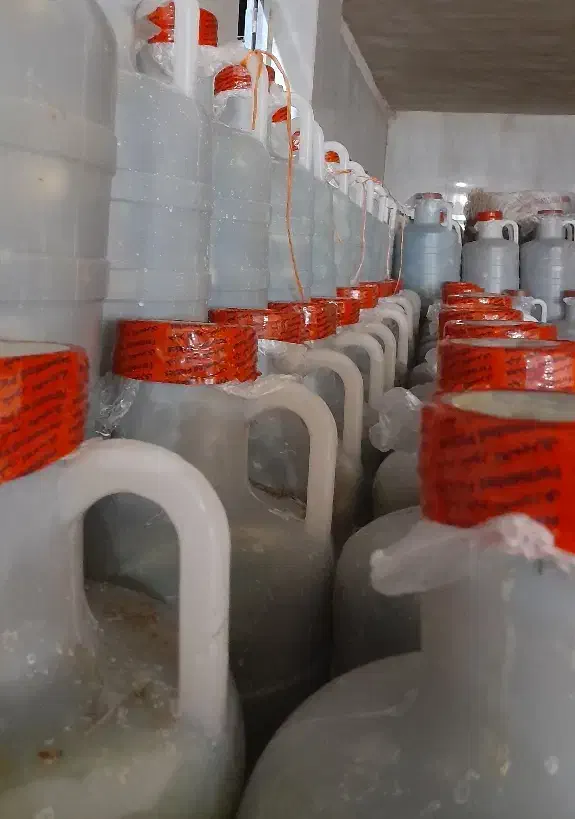 پخش خیارشور نول همدان|خوردنی و آشامیدنی|ملارد, |دیوار