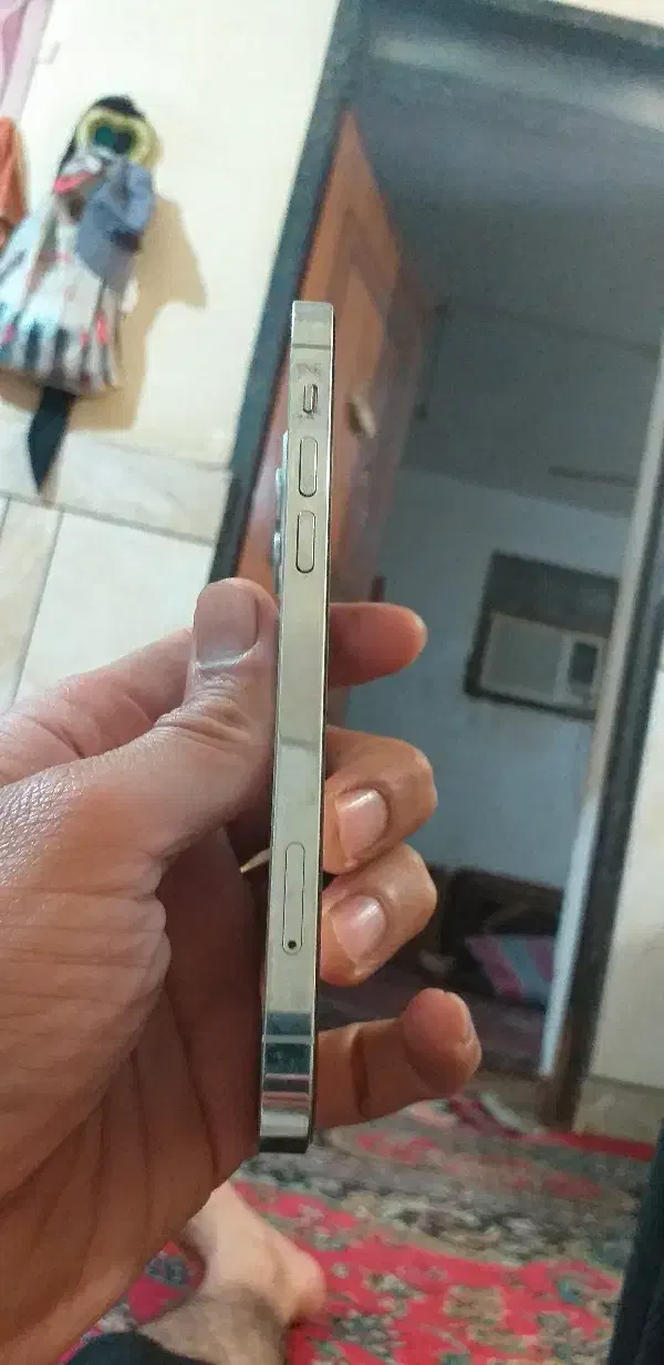 آیفون ۱۲ پرو|موبایل|هندیجان, |دیوار