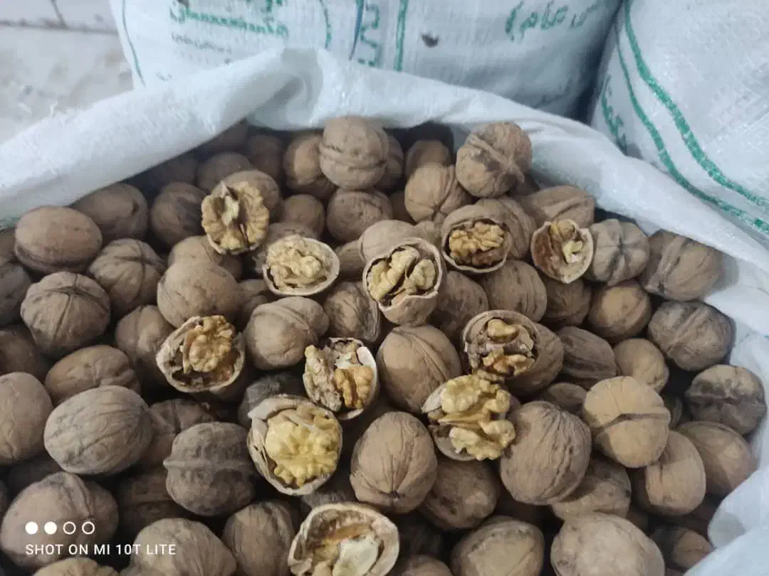 گردو و مغز گردو بلغاری درجه یک|خوردنی و آشامیدنی|مشکیندشت, |دیوار