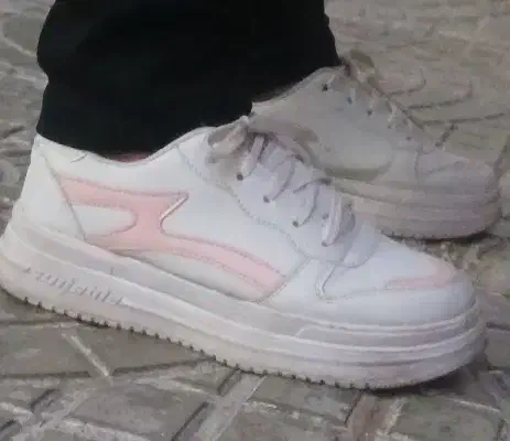 کفش کتونی   نو|کیف، کفش، کمربند|خوی, |دیوار