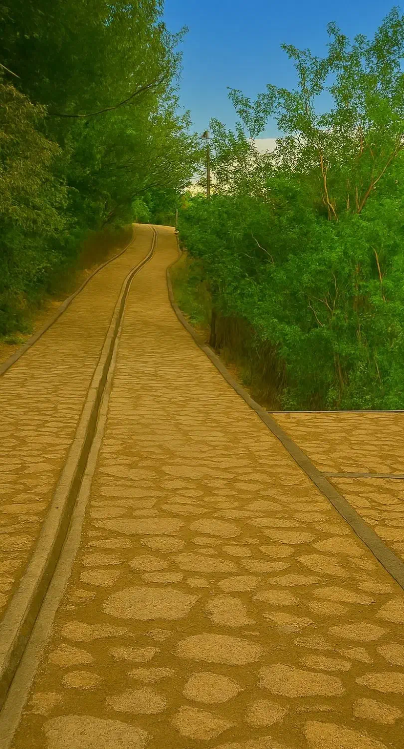 خانه روستایی دنج در دل جنگل ـ روزانه و بلند مدت|اجارهٔ خانه و ویلا|اطاقور, |دیوار