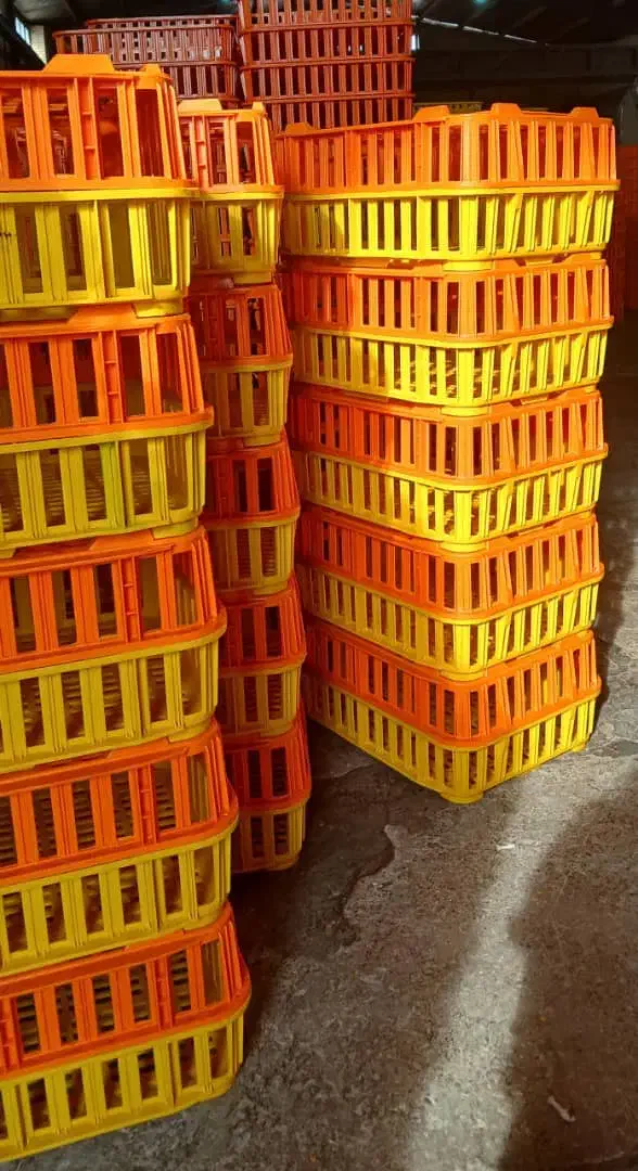 سبد مرغ|ظروف نگهدارنده، پلاستیکی، یک‌بارمصرف|شاهرود, |دیوار