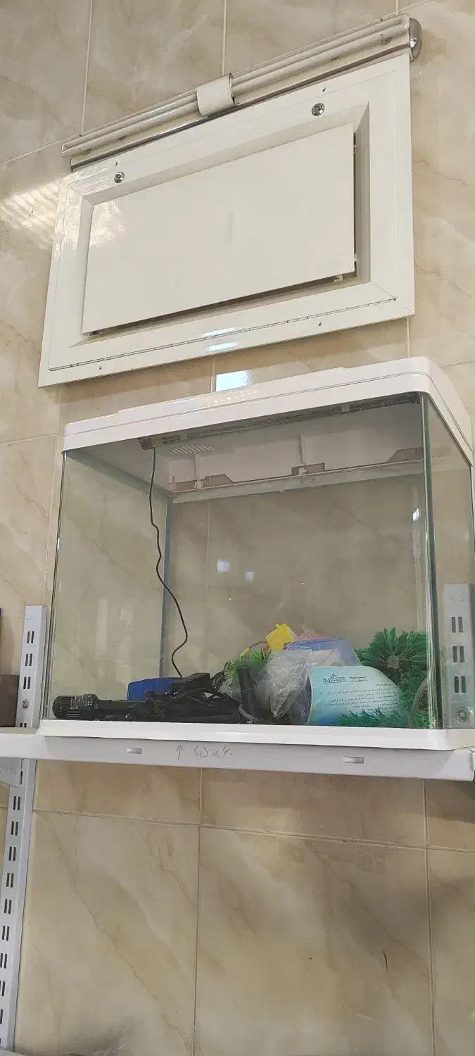 اکواریوم ماهی|ماهی|اصفهان, ارغوانیه|دیوار