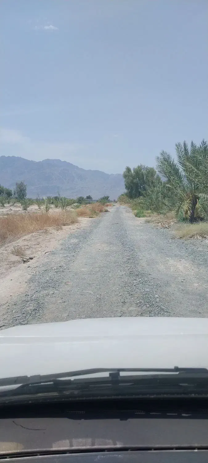 زمین کشاورزی|فروش زمین و ملک کلنگی|چاه مرید, |دیوار