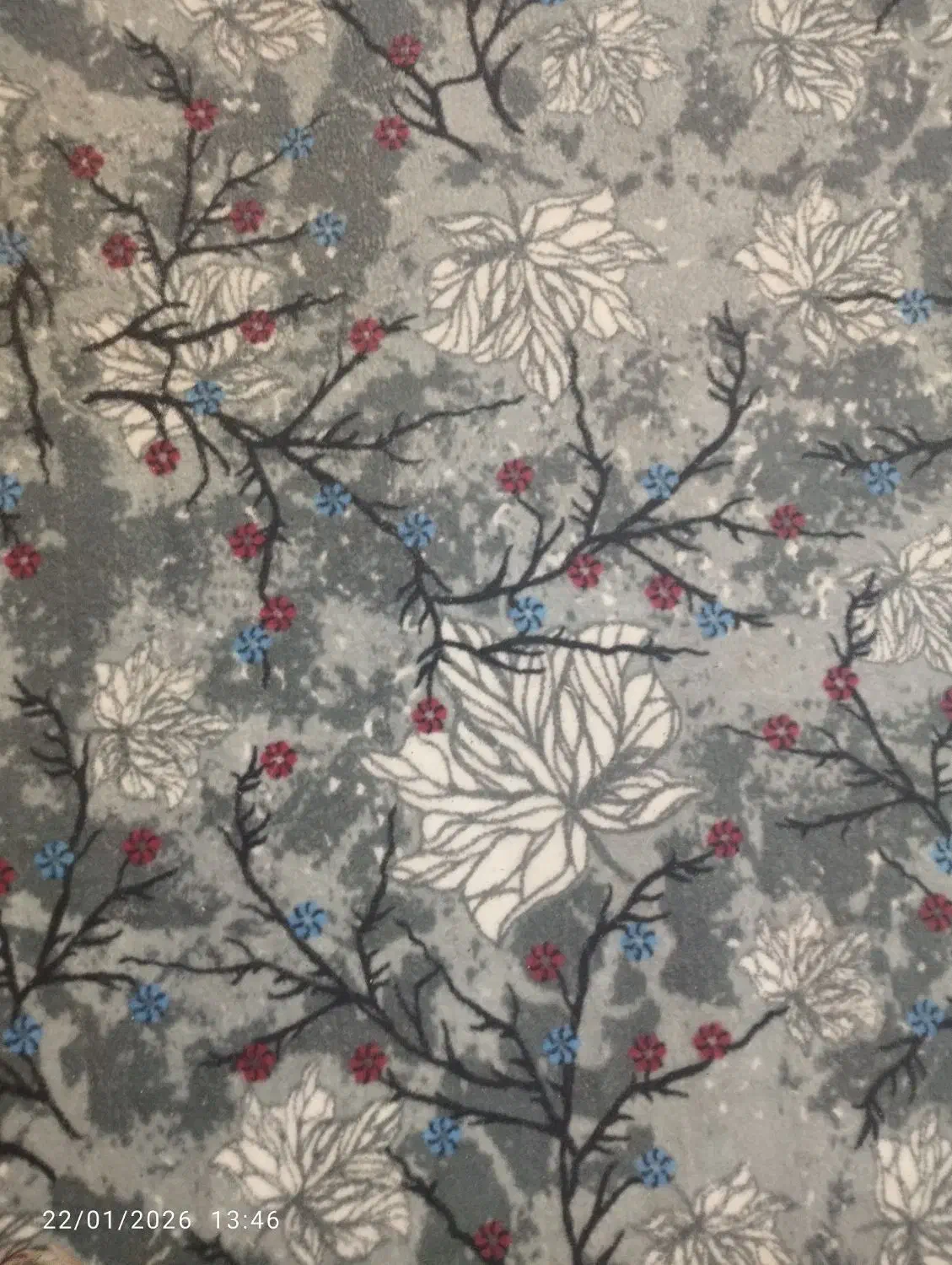 موکت ظریف مصور در حد نو|موکت|میناب, |دیوار