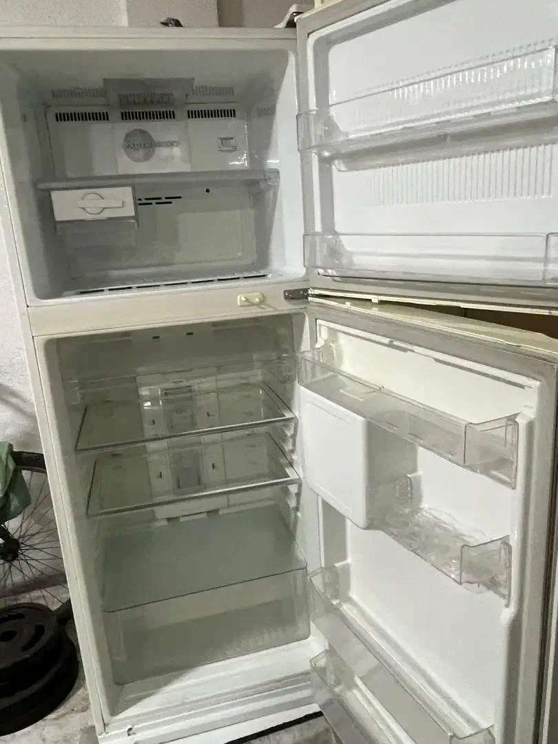 یخچال و فریزر|یخچال و فریزر|رشت, چمارسرا|دیوار