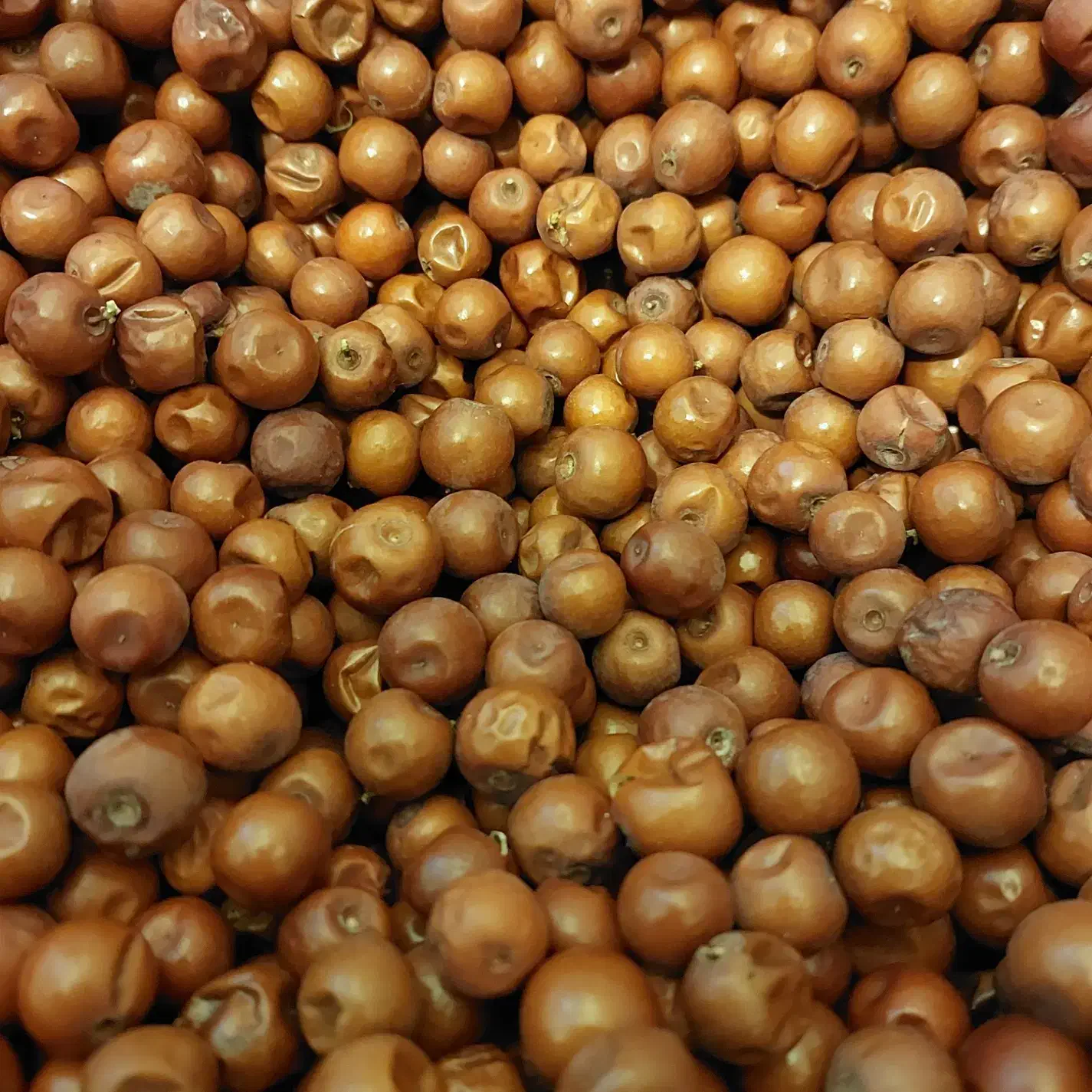 فروش عناب ریز اصیل|خوردنی و آشامیدنی|اسکو, |دیوار