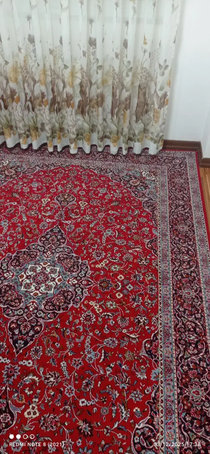 2 عدد فرش 6 متری|فرش|رشت, کوی غلام نیا|دیوار